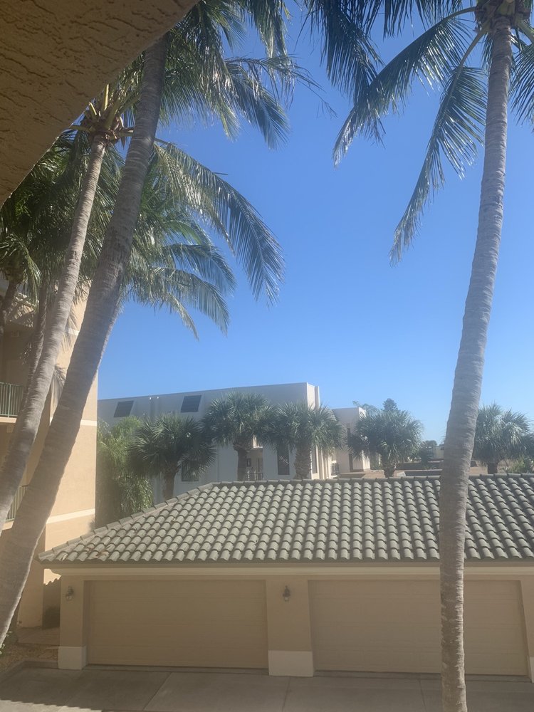 MOW BETTER TREE SERVICE Updated August 2024 13 Photos Titusville