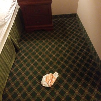 Americas Best Value Inn - This is the trash that was in the room when I come into it - Hotels Near Me - Sealy, Texas