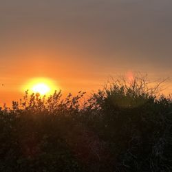 Medicine Lodge RV Park & Campground - Campground sunrise.