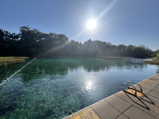 Rainbow Springs State Park by null