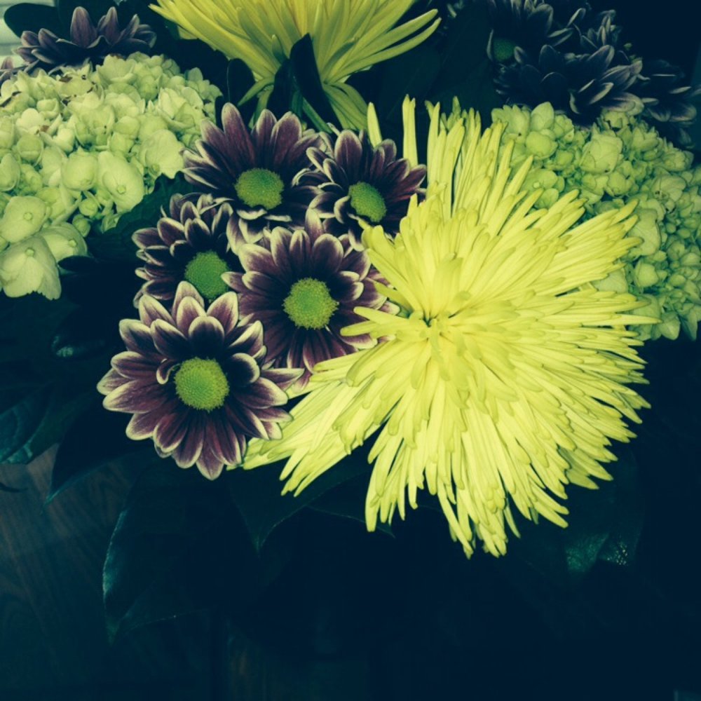 Terrain Flowers - Bad photographer. Great arrangement. - Florists Near Me - Toronto, Ontario