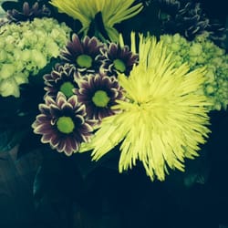 Terrain Flowers - Bad photographer. Great arrangement.