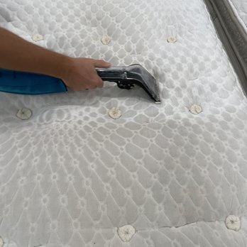 Eco Cleaning - My bed cleaned by Max - Office Cleaning Near Me - New York, New York Eco Cleaning - My bed cleaned by Max - Office Cleaning Near Me - New York, New York