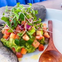 Comida - CLASSIC GUACAMOLE pico de gallo, micro radish, roasted tomatoes, queso blanco, heirloom corn tortillas