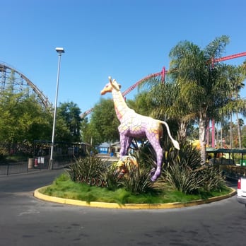 Six Flags Discovery Kingdom - Amusement Parks Near Me - Vallejo, California Six Flags Discovery Kingdom - Amusement Parks Near Me - Vallejo, California