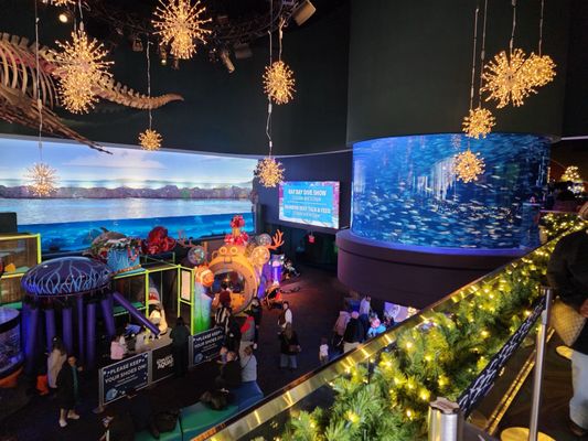 Ripley's Aquarium of Canada by null