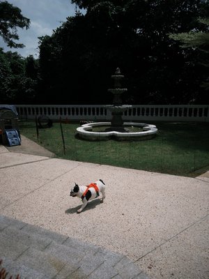 The Alkaff Mansion by null