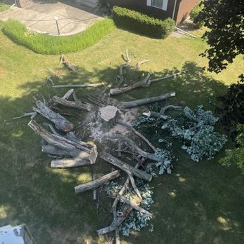 ProCare Tree Service - Tree Services Near Me - Hannibal, Missouri ProCare Tree Service - Tree Services Near Me - Hannibal, Missouri