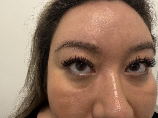 Q-Lash Eyelash Extensions&Brows by null