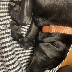 Mutterly Love Giftly Email, Text or Print, 200 Kerth St, Saint