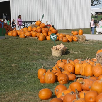 Kelsay Farms - Kelsay Farms - Attraction Farms Near Me - Whiteland, Indiana Kelsay Farms - Kelsay Farms - Attraction Farms Near Me - Whiteland, Indiana