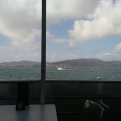 Albatros