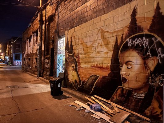 Graffiti Alley by null