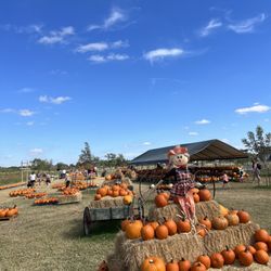 Barton Hill Farms