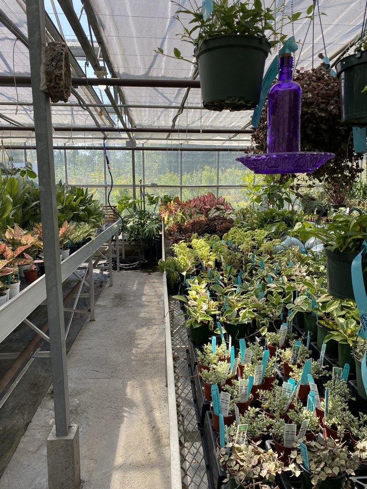 ALPINE NURSERY & LANDSCAPE Updated August 2024 57 Photos & 44