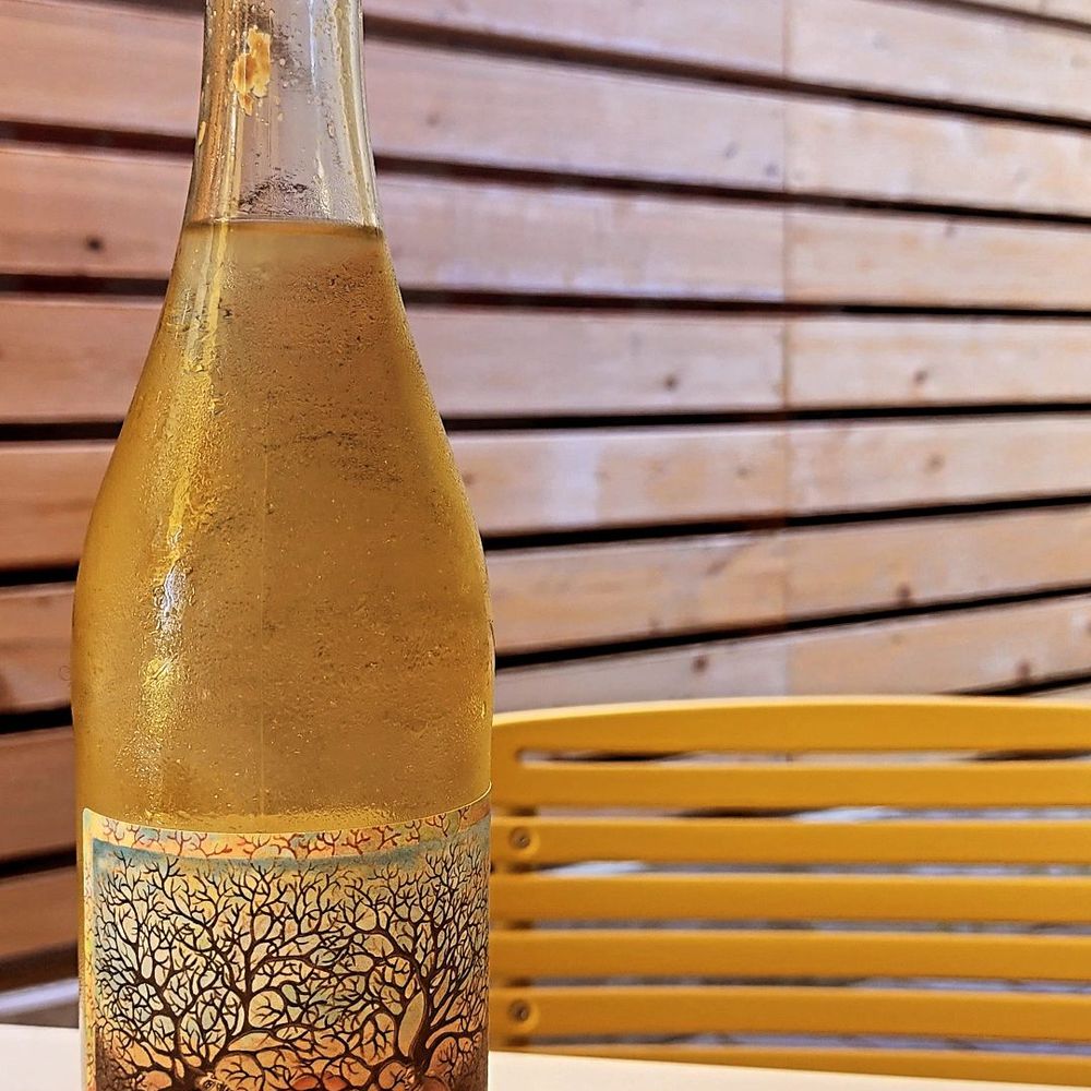Bar Diane - Our first bottle recommend by Tyler - Wine Bars Near Me - Portland, Oregon