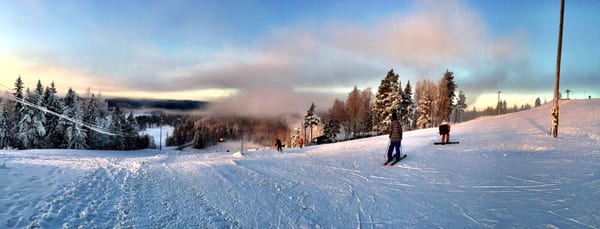 Nuuksio National Park by null