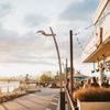 Maryhill Tasting Room & Bistro - Vancouver gift card