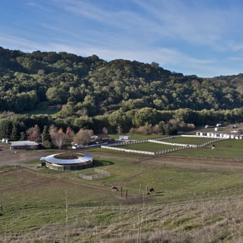 Hossmoor - On 138 Acres with 7 miles of trail! - Horse Boarding Near Me - Briones, California