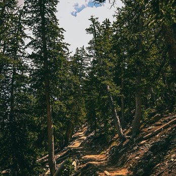 Great Basin National Park - Parks Near Me - Baker, Nevada Great Basin National Park - Parks Near Me - Baker, Nevada