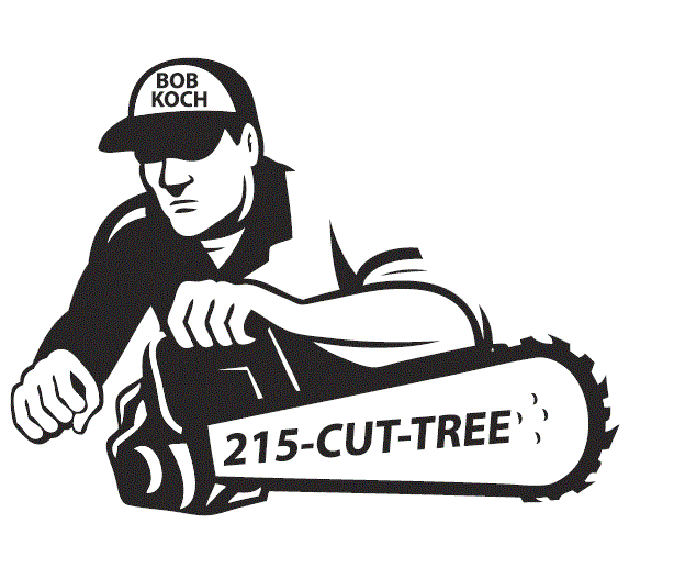Bob Koch 215-Cut-Tree - tree service in Philadelphia, PA