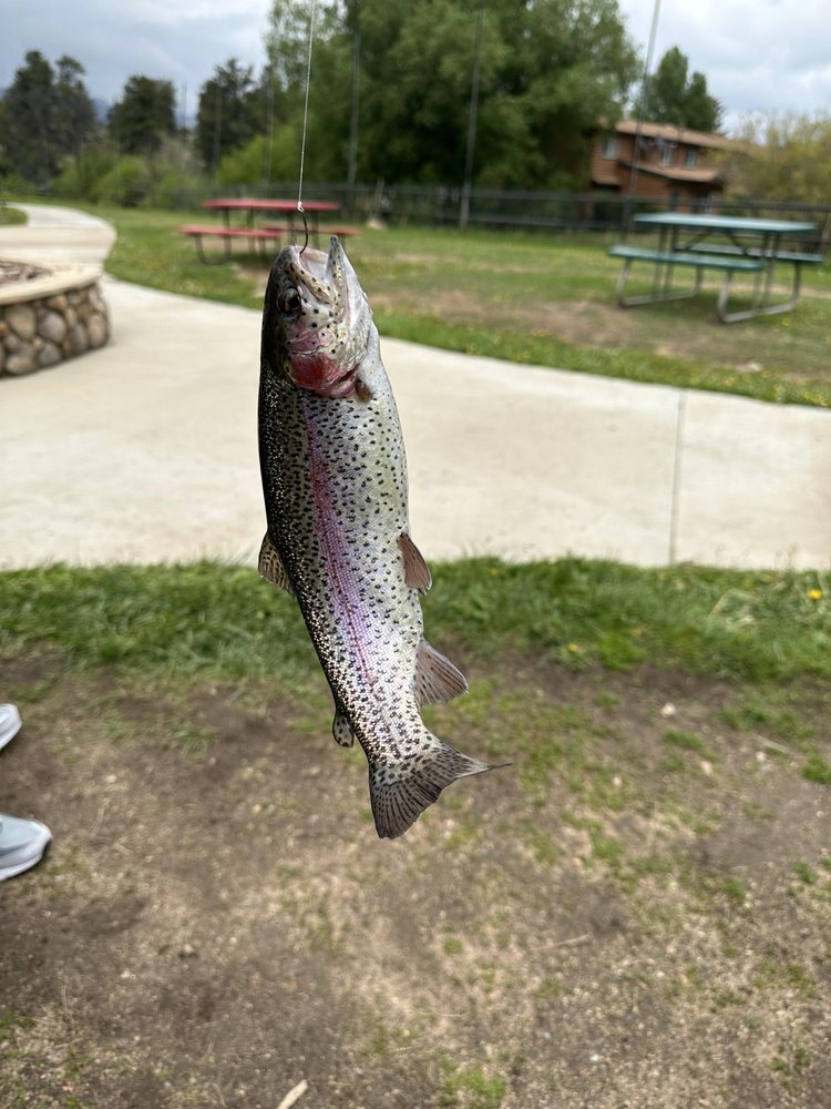 TROUT HAVEN FISHING POND Updated October 2024 36 Photos & 29