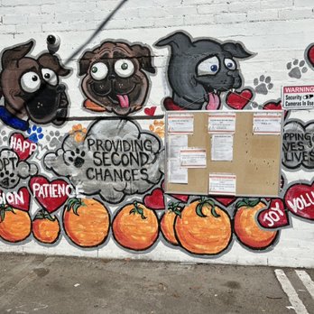 Pet Adoption Center Thrift Store - Mural at the back of the store - Thrift Stores Near Me - Riverside, California Pet Adoption Center Thrift Store - Mural at the back of the store - Thrift Stores Near Me - Riverside, California