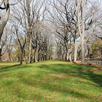 Central Park Conservancy - Parks Near Me - New York, New York Central Park Conservancy - Parks Near Me - New York, New York