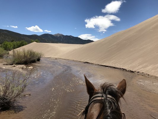 Zapata Ranch by null