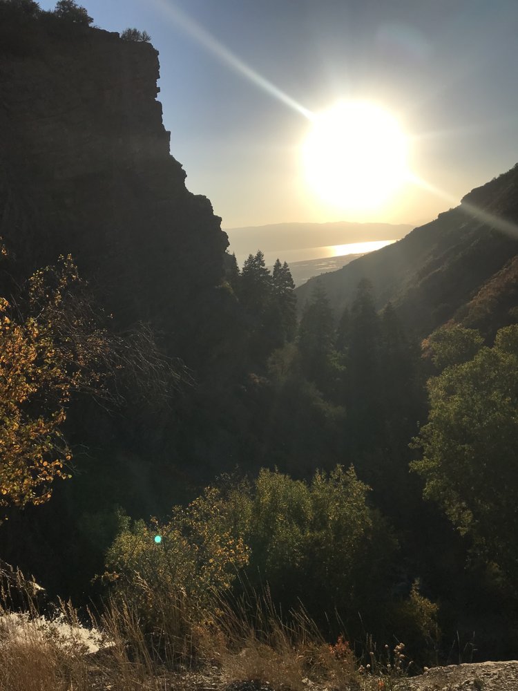 Thrive Coaching Psychology - grief counselor in Eagle Mountain, UT