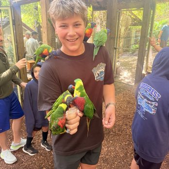 Parrot Mountain & Gardens - Parks Near Me - Pigeon Forge, Tennessee Parrot Mountain & Gardens - Parks Near Me - Pigeon Forge, Tennessee