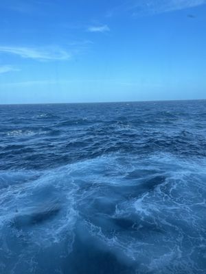 Carnival Cruise Line Baltimore by null