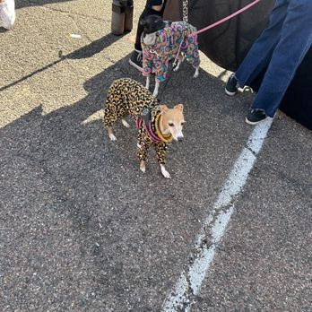 Uptown Farmers Market - Farmers Market Near Me - Phoenix, Arizona