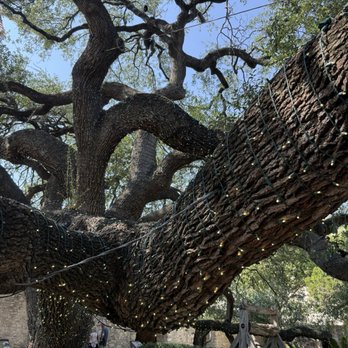 The Alamo - Museums Near Me - San Antonio, Texas The Alamo - Museums Near Me - San Antonio, Texas