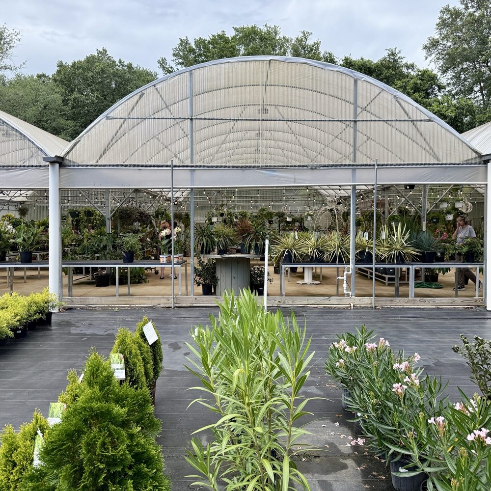 Pinelands Nursery - Nurseries & Gardening Near Me - Milton, Florida