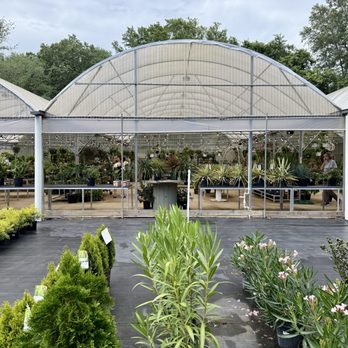 Pinelands Nursery - Nurseries & Gardening Near Me - Milton, Florida Pinelands Nursery - Nurseries & Gardening Near Me - Milton, Florida
