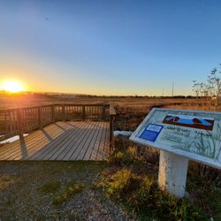Views along the trail