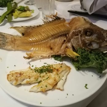 MesaMar Seafood Table - Cath of the day. Snapper - Seafood Near Me - Coral Gables, Florida MesaMar Seafood Table - Cath of the day. Snapper - Seafood Near Me - Coral Gables, Florida