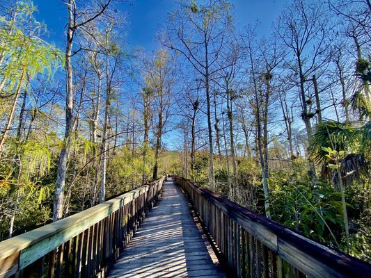 Kirby Storter Roadside Park by null