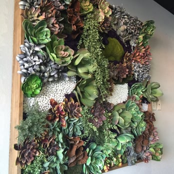 CRAFTkitchen - Nice succulent decor! - New American Near Me - Henderson, Nevada CRAFTkitchen - Nice succulent decor! - New American Near Me - Henderson, Nevada