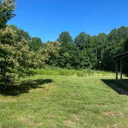 American Chestnut Land Trust-ACLT