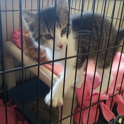 Pet Stores In Louisville Yelp