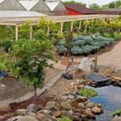 Rohr & Sons Nursery