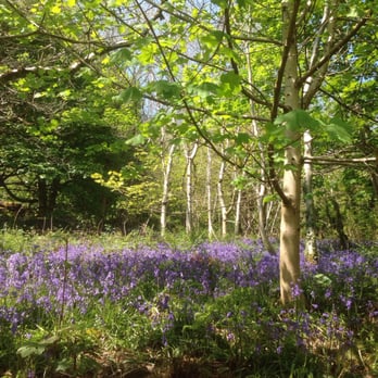 Cavehill Country Park - Parks Near Me - Belfast, BFS