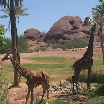 Phoenix Zoo - Zoos Near Me - Phoenix, Arizona Phoenix Zoo - Zoos Near Me - Phoenix, Arizona