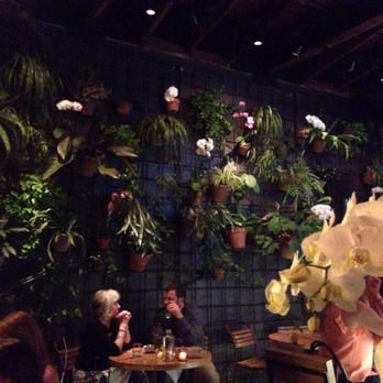 Prato - Lush green walls - Pizza Near Me - Winter Park, Florida Prato - Lush green walls - Pizza Near Me - Winter Park, Florida