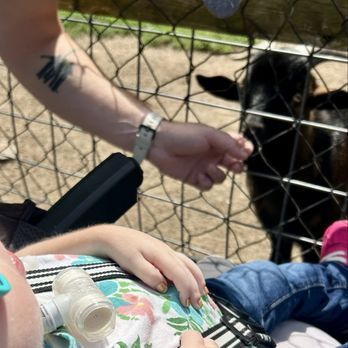 Lupa Zoo - Loved feeding everyone!! - Zoos Near Me - Ludlow, Massachusetts