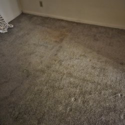 Extreme Carpet Care 