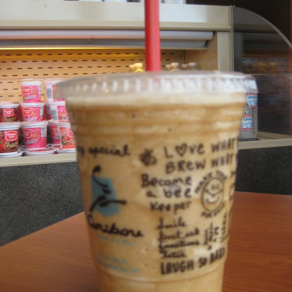 northern lite coffee cooler