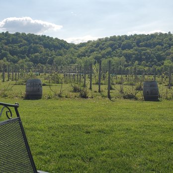 Vino In the Valley - American Near Me - Maiden Rock, Wisconsin Vino In the Valley - American Near Me - Maiden Rock, Wisconsin